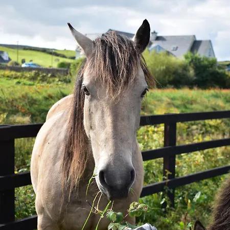Campsite Glamping Doolin