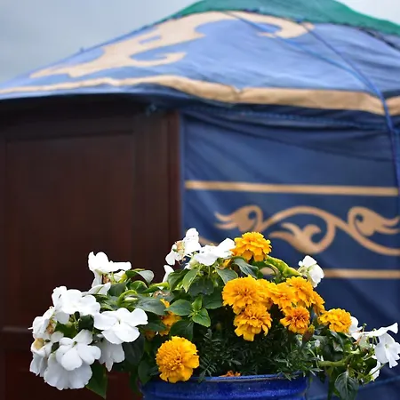 Glamping Camping Doolin