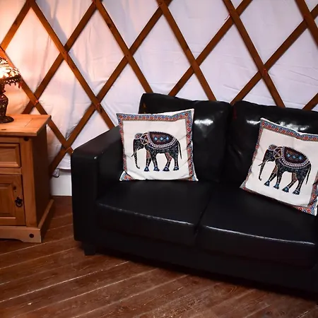 Glamping 캠프장 *