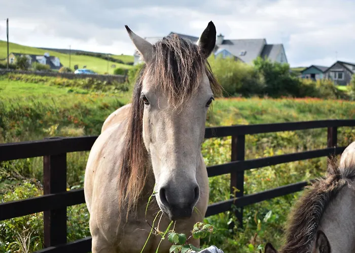Camping Glamping Doolin